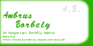 ambrus borbely business card