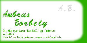 ambrus borbely business card